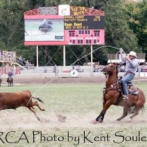 Meet your Posher, Dalton